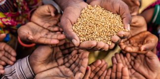 África enfrenta su peor crisis alimentaria en años África enfrenta su peor crisis alimentaria en años