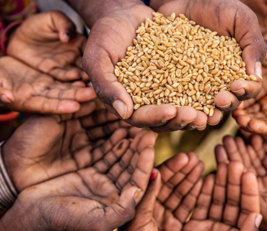 África enfrenta su peor crisis alimentaria en años