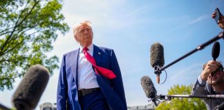 Trump exige investigar a celebridades que apoyaron la campaña de Harris Trump exige investigar a celebridades que apoyaron la campaña de Harris