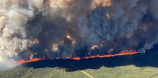 Incendios forestales azotan Canadá; humo llega a Europa
