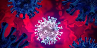 Una nueva variante de COVID-19 levanta alertas en EE.UU. Una nueva variante de COVID-19 levanta alertas en EE. UU.