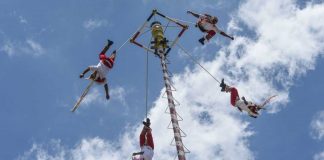 Voladores de Papantla caen desde más de 10 metros en Veracruz