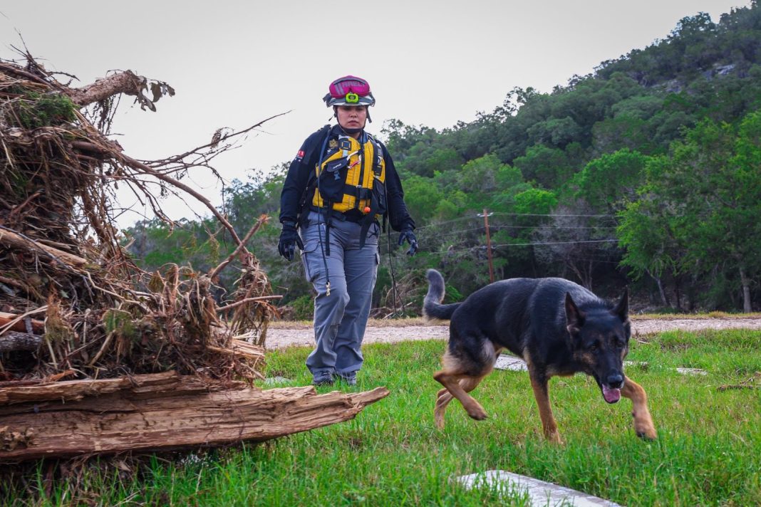 Perros mexicanos apoyan rescate en Texas tras inundaciones