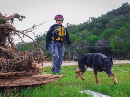 Perros mexicanos apoyan rescate en Texas tras inundaciones