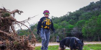 Perros mexicanos apoyan rescate en Texas tras inundaciones