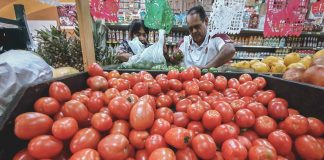 Estados Unidos aplica arancel al jitomate mexicano