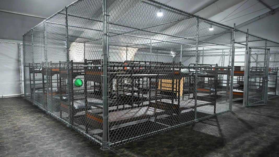 Migrantes denuncian condiciones inhumanas en Alligator Alcatraz