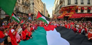 EE.UU. condena reconocimiento francés a Palestina