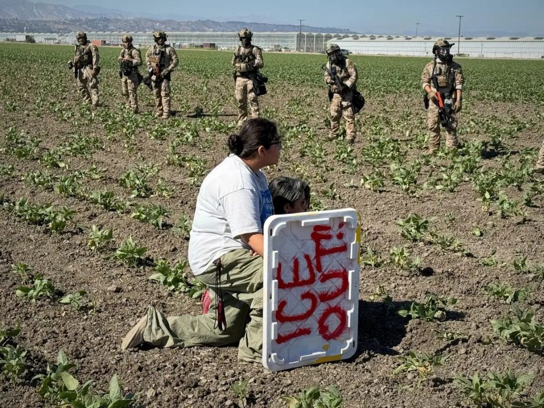 Redadas migratorias en EE.UU. afectan a trabajadores mexicanos