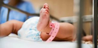 Envejecimiento y baja natalidad preocupa a la Iglesia Católica de México Envejecimiento y baja natalidad preocupa a la Iglesia Católica de México