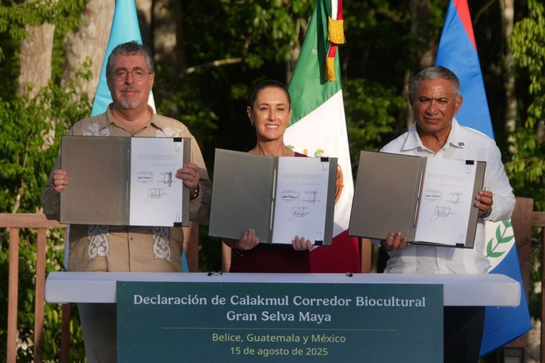 México, Guatemala y Belice anuncian nuevo corredor biocultural de la gran Selva Maya
