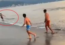 Joven escapa de cocodrilo en playa de Puerto Vallarta