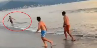 Joven escapa de cocodrilo en playa de Puerto Vallarta