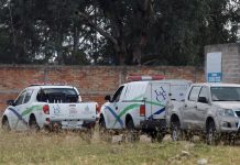 Recuperan 54 cuerpos en fosa clandestina de Jalisco Recuperan 54 cuerpos en fosa clandestina de Jalisco