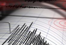 Sismo de 5.9 grados sacude Oaxaca; se siente en cinco estados más