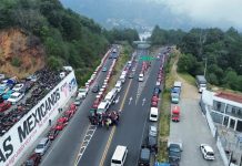 Transportistas mexicanos no serán afectados por suspensión de visas de EE.  UU. Transportistas mexicanos no serán afectados por suspensión de visas de EE.  UU.