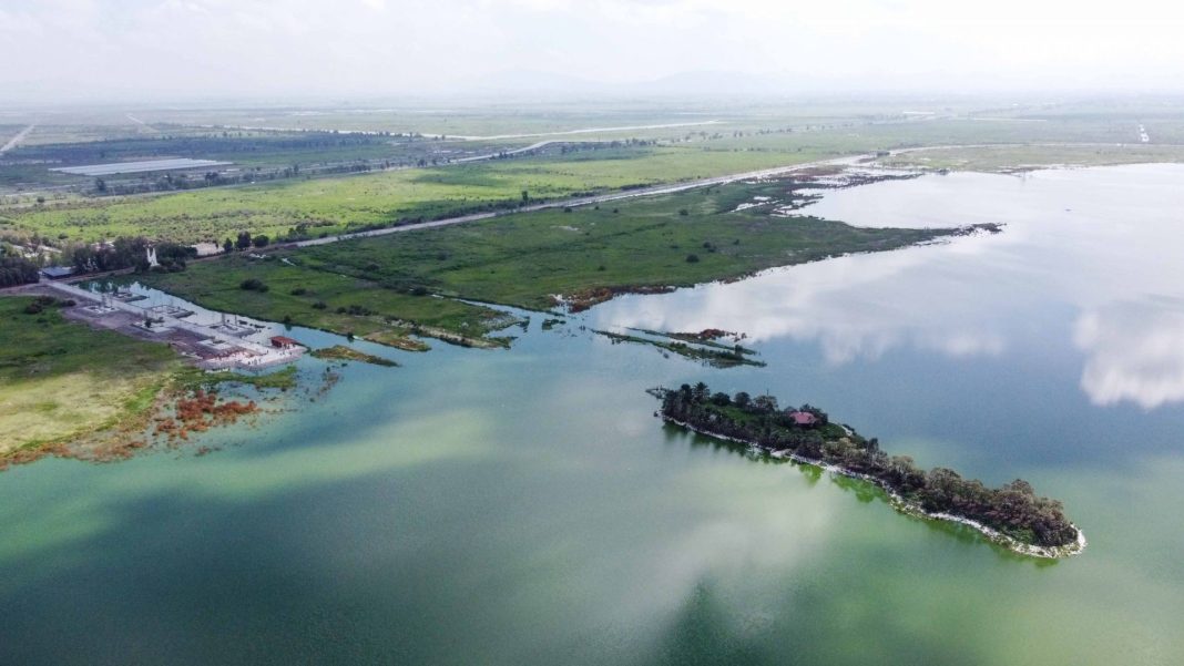 Lago de Texcoco recupera el 78% de su capacidad