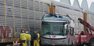 Conductor de autobús detenido por choque con tren en Edomex