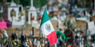 Muertes por enfermedades y violencia bajan un 2% en el primer trimestre de este año Muertes en México bajan un 2% en el primer trimestre de 2025