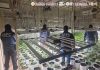 Detienen a presuntos narcos ligados a La Familia Michoacana Detienen a presuntos narcos ligados a La Familia Michoacana