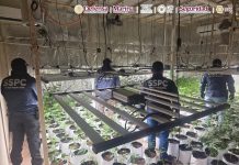 Detienen a presuntos narcos ligados a La Familia Michoacana Detienen a presuntos narcos ligados a La Familia Michoacana