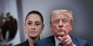 Trump elogió a Sheinbaum, pero acusó dominio del narco en México Trump elogió a Sheinbaum, pero acusó dominio del narco en México