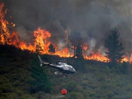 Cambio climático multiplica incendios en España y Portugal