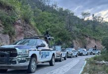 Fuerzas federales decomisan drogas, químicos y explosivos en operativos en Sonora, Michoacán, Sinaloa, San Luis Potosí y Chihuahua Fuerzas federales decomisan drogas, químicos y explosivos en operativos en Sonora, Michoacán, Sinaloa, San Luis Potosí y Chihuahua