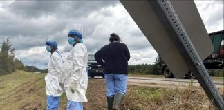 Tras accidente, tres monos de laboratorio escapan en Mississippi y desatan el terror