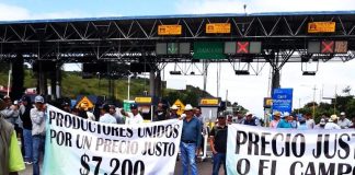 Productores rechazan precio fijado por la Federación para la tonelada de maíz blanco y anuncian bloqueos