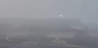 Banco de niebla afecta operaciones y vuelos en el AICM