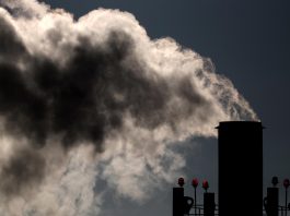 Crisis climática: gases de efecto invernadero alcanzan niveles críticos durante 2024