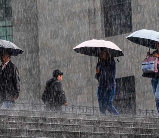 México vive el año más lluvioso desde 1941: expertos advierten riesgos