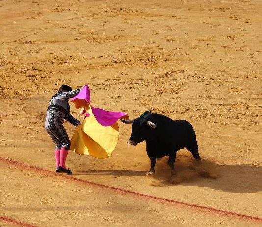 Suspenden corrida de toros en Morelia por orden judicial