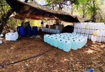 Fuerzas federales aseguraron drogas y químicos por 756 millones de pesos en Sinaloa Fuerzas federales aseguran drogas y químicos por 756 millones de pesos en Sinaloa