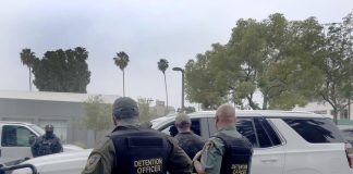 81 migrantes detenidos tras operativo en Charlotte; se encuentra mexicanos entre ellos 81 migrantes detenidos tras operativo en Charlotte; se encuentra mexicanos entre ellos