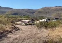 Cayó avión en Santa Isabel, Chihuahua, dejando dos personas fallecidas