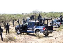 Hallan siete cadáveres en límites de Zacatecas y San Luis Potosí