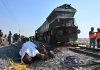 Tren se descarrila y mata a siete elefantes en la India
