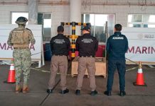 Aseguran 96 kilogramos de droga psicodélica en puerto de Veracruz Aseguran 96 kilogramos de droga psicodélica en puerto de Veracruz