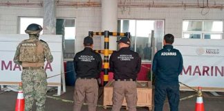 Aseguran 96 kilogramos de droga psicodélica en puerto de Veracruz Aseguran 96 kilogramos de droga psicodélica en puerto de Veracruz