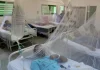 Gobierno de Cuba afirma que hay avances en el control de brotes de dengue y chikungunya