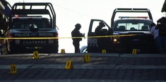 Reportan 336 policías asesinados en México durante 2025