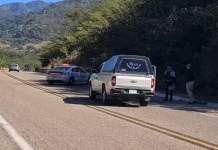 Cinco cadáveres fueron hallados en la autopista Mazatlán-Durango, en Concordia, Sinaloa