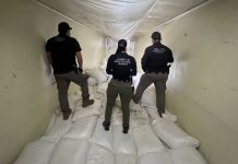 Operativos federales en Sinaloa aseguran más de una tonelada de droga
