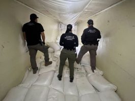 Operativos federales en Sinaloa aseguran más de una tonelada de droga