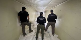 Operativos federales en Sinaloa aseguran más de una tonelada de droga Operativos federales en Sinaloa aseguran más de una tonelada de droga