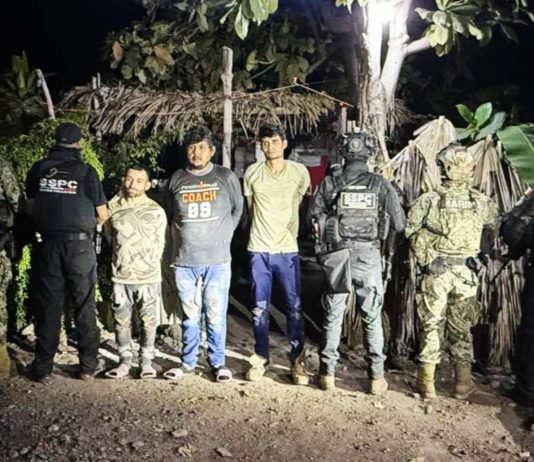 Detienen a presuntos extorsionadores de limoneros en Michoacán