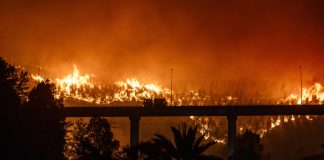 Incendios en el sur de Chile dejan 16 muertos y más de 50.000 evacuados