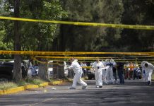 México registró más de 6,700 víctimas de crímenes de extrema violencia en 2025